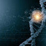 DNA