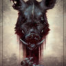 RedBoar