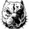 madpitbull