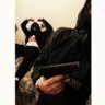 Fake_228