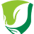 kapopa