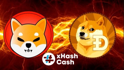 DOGE-SHIB.jpg