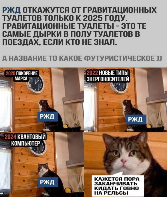 153205814.jpg