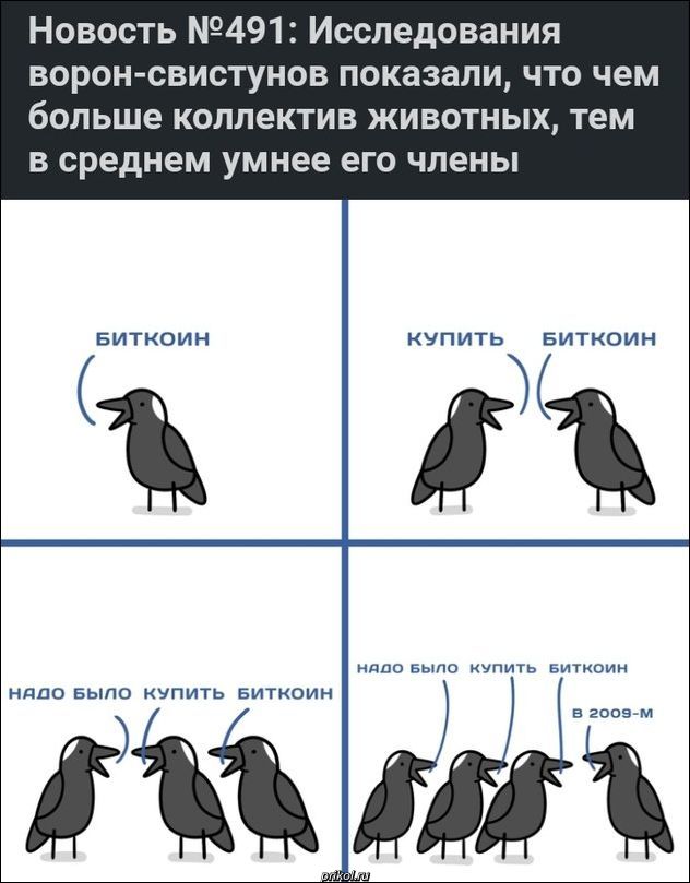 kartinki.jpg