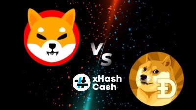 DOGE-SHIB.jpg