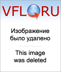 16776662.png