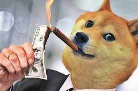 778899.jpg