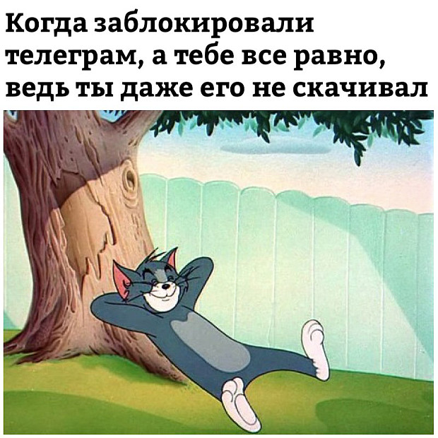523977.jpg