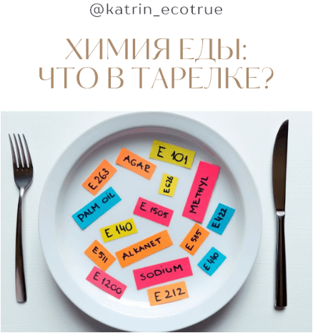 Скачать Гайд Химия еды: что в тарелке? - katrin_ecotrue (2022)