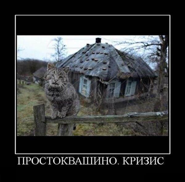 photo1.jpg
