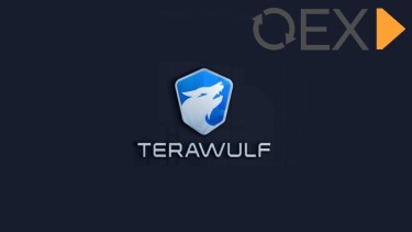 TeraWulf.jpg